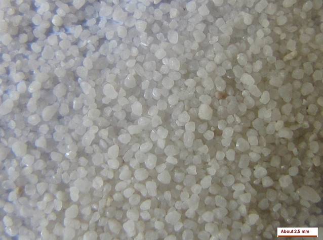 White Sands NM zoomed-small.jpg