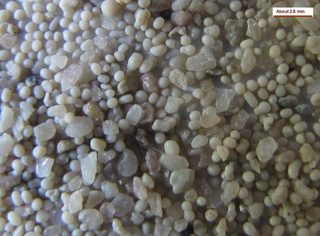 Antelope Island-oolitc eolian zoomed-small.jpg