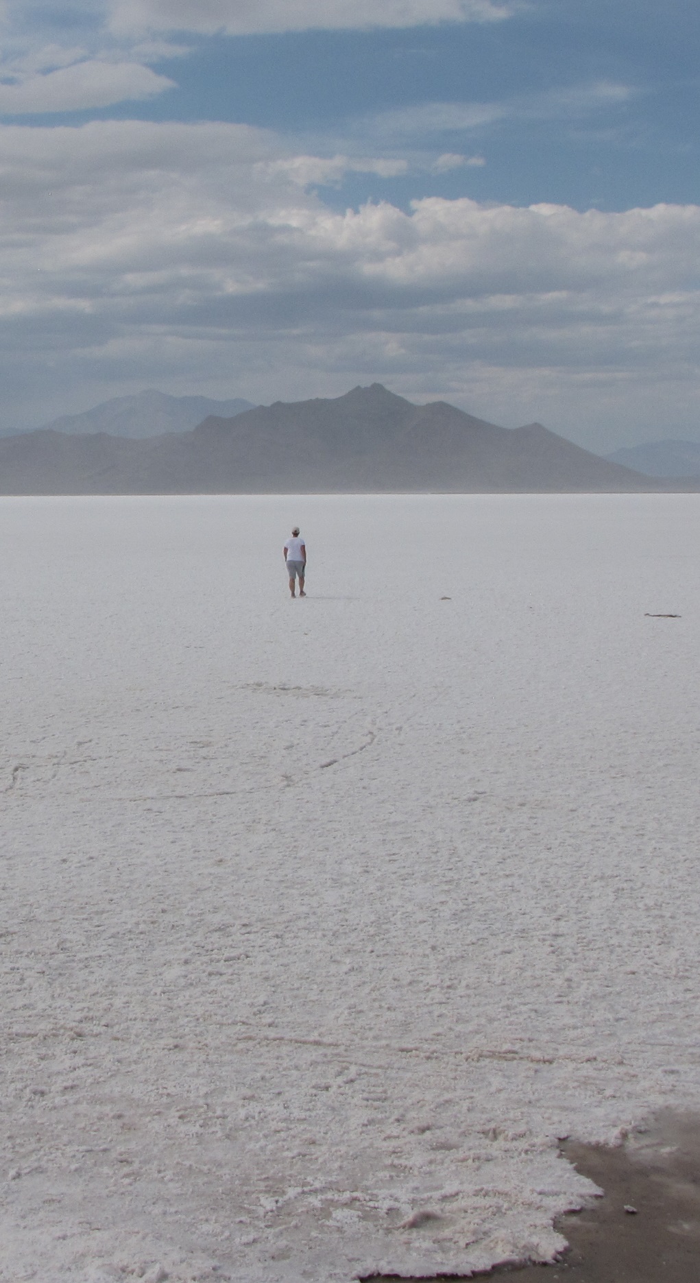 Learning to Read the Earth and Sky cover